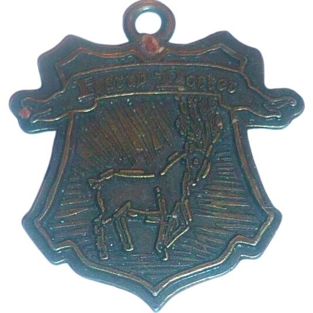 Harry Potter Patronus Stag Shield Charm Bronze Tone Metal Pendant Crest